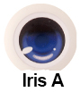 Iris A